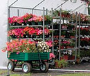 Wagons & Garden Displays - FarmTek