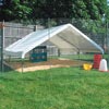 Poultry Equipment - Poultry Housing